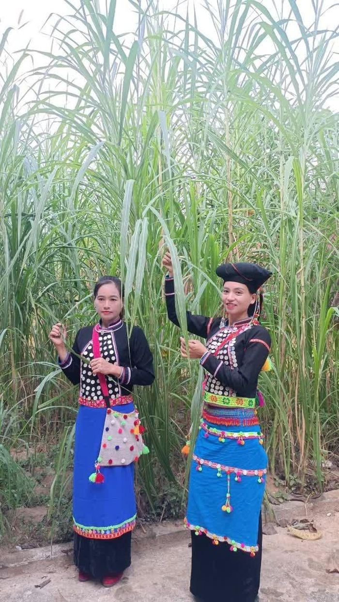 Phụ nữ đội khăn đen vấn tóc thể hiện mình đã lập gia đình