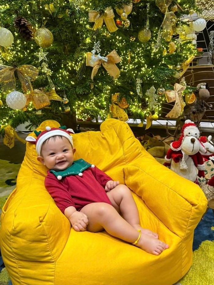Đặc biệt, Đàm Thu Trang chọn tông xanh - vàng để trang trí cho cây thông Noel của gia đình.