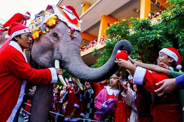Học sinh chờ nhận quà từ một chú voi mặc trang phục ông già Noel tại trường học ở Ayutthaya, Thái Lan. Ảnh: Reuters