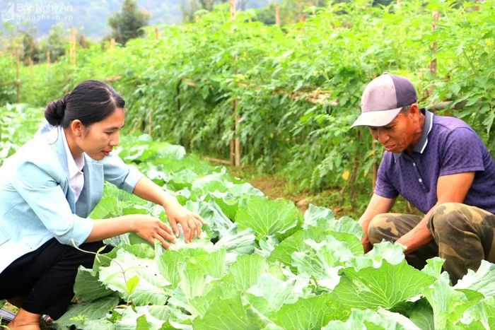Cán bộ thị trấn Thạch Giám (bên trái) tuyên truyền, hướng dẫn người dân bản Phòng trồng rau sạch. Ảnh: K.L