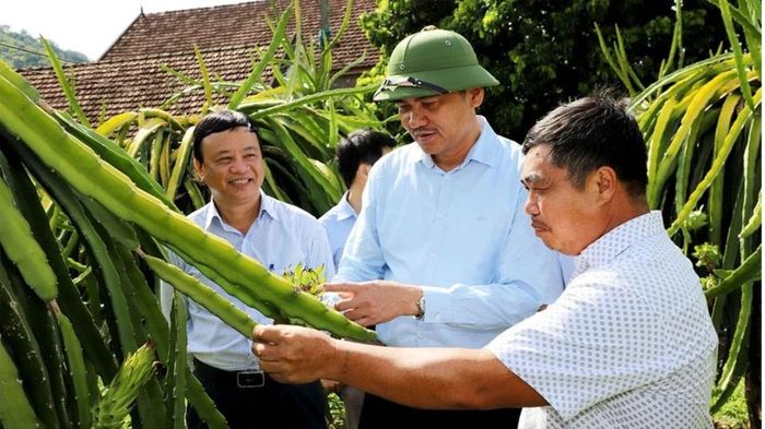 Lãnh đạo tỉnh và huyện Tương Dương thăm mô hình trồng thanh long ruột đỏ của gia đình ông Tống Văn Chiến ở xã Tam Quang. Ảnh tư liệu: P.V