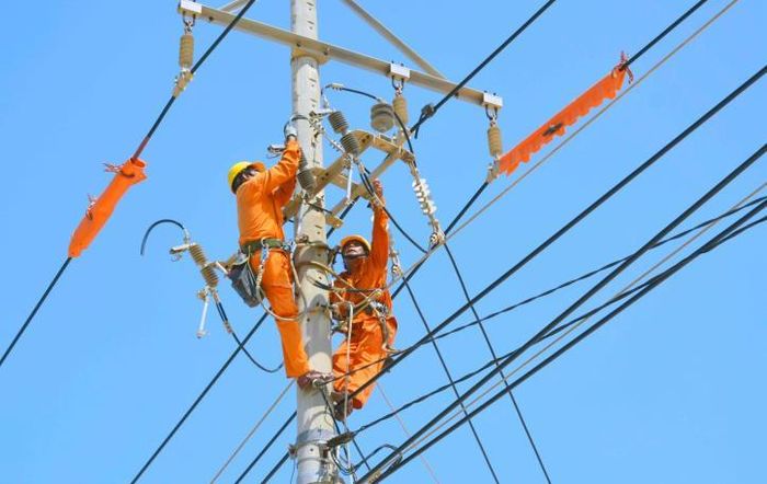 Công nhân Công ty Điện lực Bình Định kiểm tra an toàn đường dây. Ảnh: Nguyên Linh/TTXVN