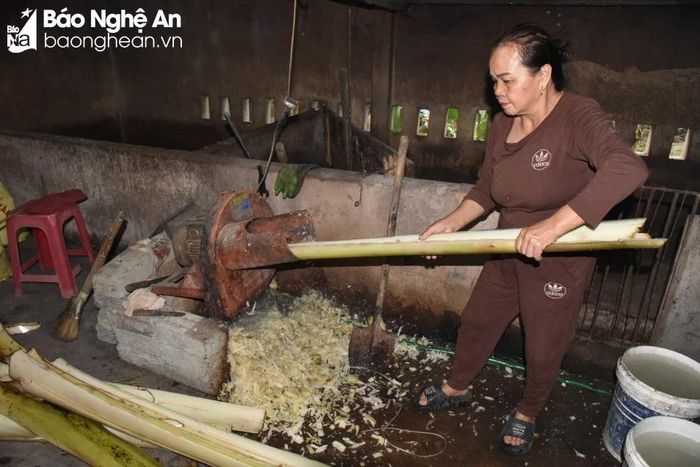 Chị Lộc Thị Lý xay thân cây chuối cho lợn ăn. Ảnh HT 