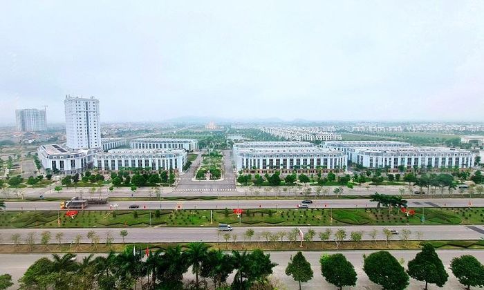 Ảnh minh họa. (V.T)