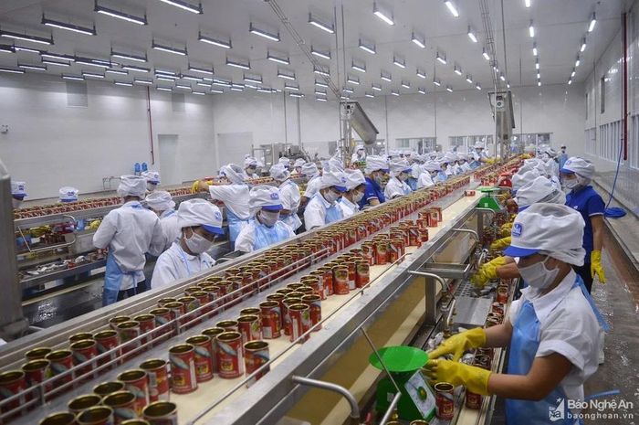  Năm 2023, bình quân lao động được trả lương 6,63 triệu đồng/người/tháng. Ảnh tư liệu 