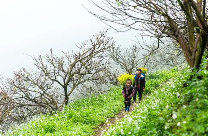  Nơi đây không chỉ nổi tiếng với vẻ đẹp hoang sơ và thiên nhiên trù phú, mà còn có những bản làng các dân tộc thiểu số với những nét văn hóa đặc trưng khác nhau, tạo nên một vẻ đẹp thuần khiết, trong trẻo đầy sức hút. 