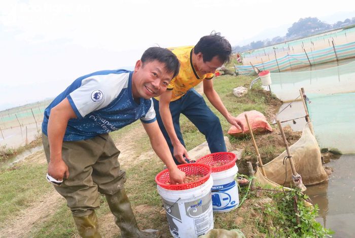  Ông Nguyễn Văn Điển, xóm Phú Xuân, xã Châu Nhân cho hay, nhà ông làm 2,5 sào ruộng rươi, mỗi mùa thường cho thu hoạch 6 - 7 yến rươi. "Rươi lên ruộng vào ban ngày, lại là những ngày nắng ấm, bà con không phải vất vả đêm hôm đi bắt rươi khó nhọc" - ông Điển nói. Ảnh: Huy Thư 