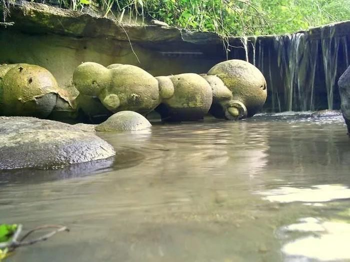 Khi trời mưa, nước mưa phản ứng với khoáng chất cấu tạo nên khối đá, khiến các phần bên trong rò rỉ ra ngoài và làm tảng đá trông như phát triển thêm