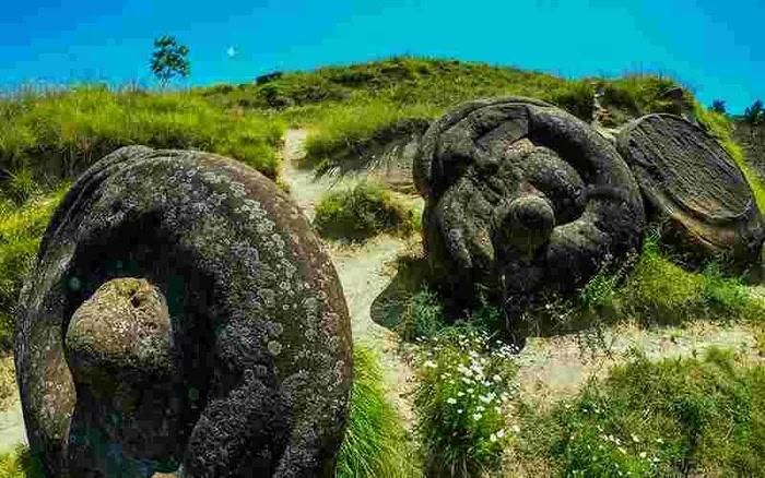 Chúng mang tên Trovant, hay còn gọi là "đá sống"