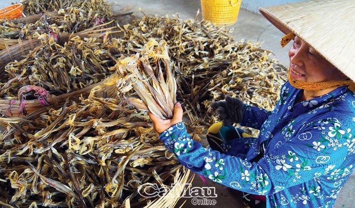 Chị Hồng Mỹ Nhân, Khóm 6, thị trấn Cái Ðôi Vàm, tiếp nối nghề làm khô cá khoai truyền thống của gia đình trên 20 năm.