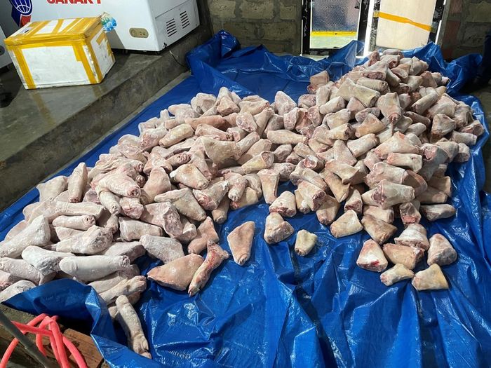 Công an kiểm tra kho chứa thực phẩm không rõ nguồn gốc do Hồ Thị Nhiên làm chủ.