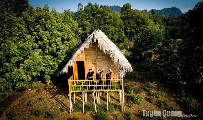 Ngắm hoàng hôn trên đảo là một trải nghiệm vô cùng thú vị.