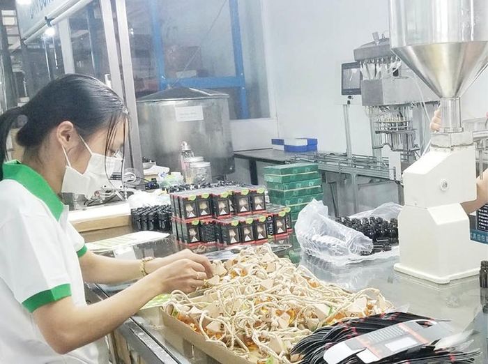 Đóng gói thành phẩm tinh dầu được chiết xuất 100% từ dược liệu tự nhiên 