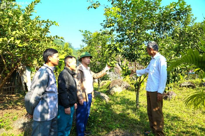  Ông La Văn Hóa (bên phải) giới thiệu về mô hình kinh tế vườn đồi với lãnh đạo thị trấn Kim Sơn và khối Hồng Phong. Ảnh: Đình Tuyên 