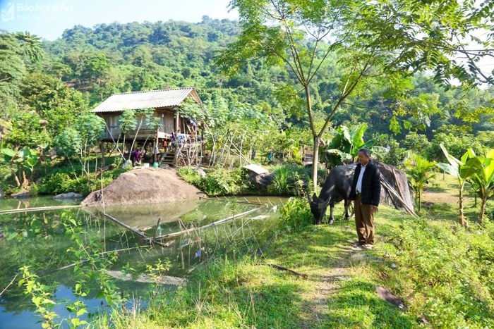  Với sự năng động cần cù, ông La Văn Hóa đã biến vùng đất sỏi đá thành trang trại rộng lớn. Ảnh: Khánh Ly 