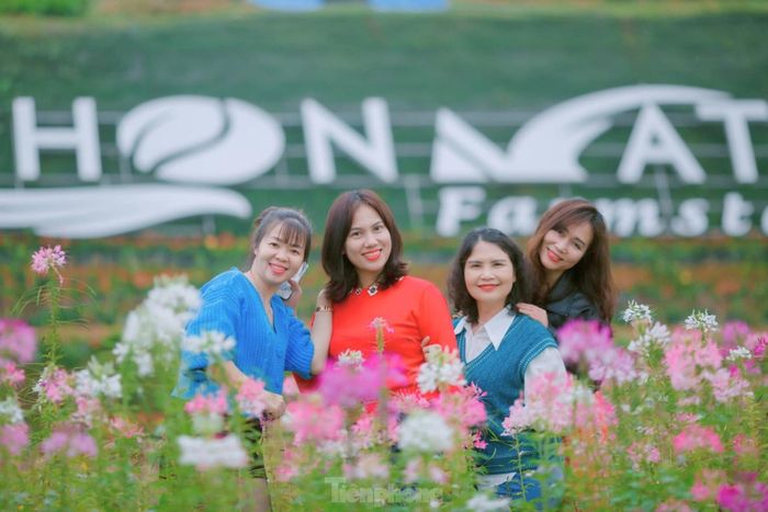 Check-in giữa vườn hoa ngát hương sắc. Một không gian nên thơ và hữu tình. 