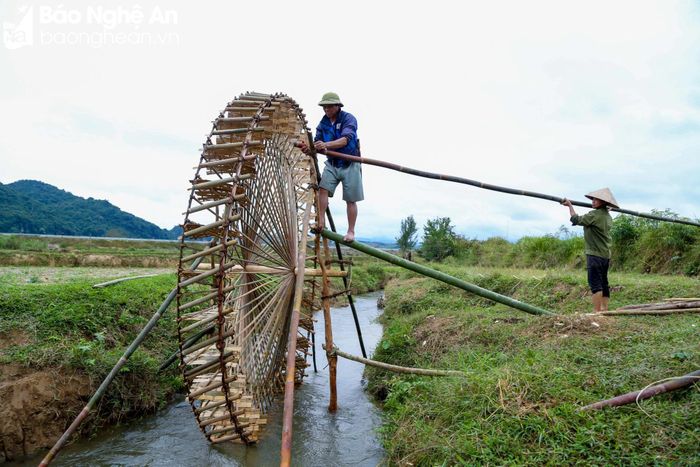  Tiếng Thái ở Nghệ An gọi cọn nước là "pặt nặm", nghĩa là tưới nước. Hệ thống gồm bánh xe có gắn những chiếc ống xoay quanh một trục gỗ. Khi thả xuống suối, bánh xe quay và các ống sẽ múc nước đổ vào một máng hứng. Từ máng hứng, nước xuôi theo ống hoặc máng dẫn vào ruộng lúa, tạo thành một hệ thống tưới tự động. Cọn nước được xem như là một sáng tạo độc đáo của cư dân trồng lúa nước vùng Đông Nam Á. Theo một số tài liệu thì trước đây hàng trăm năm, người miền xuôi cùng từng dùng hệ thống thủy lợi này trong sản xuất nông nghiệp. Ảnh: Hữu Vi 