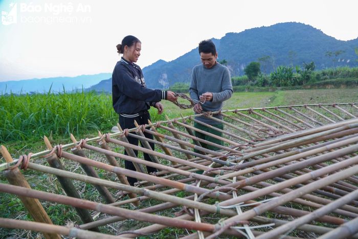 Chính vì quan trọng như thế nên nhiều nhà phải chuẩn bị vật liệu làm cọn nước trước đó hàng tháng. Tre, nứa, gỗ, lạt... đều được lấy về từ những cánh rừng già cách đó hàng giờ đi bộ. Sau đó, người nông dân phải mất khoảng nửa tháng mới hoàn thành một chiếc cọn. Ảnh: Hữu Vi 