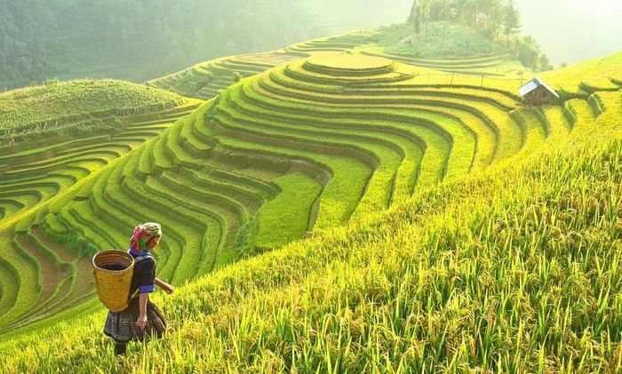 Niềm tin vào tương lai Việt Nam chính là món quàn Xuân ý nghĩa. Ảnh: TL