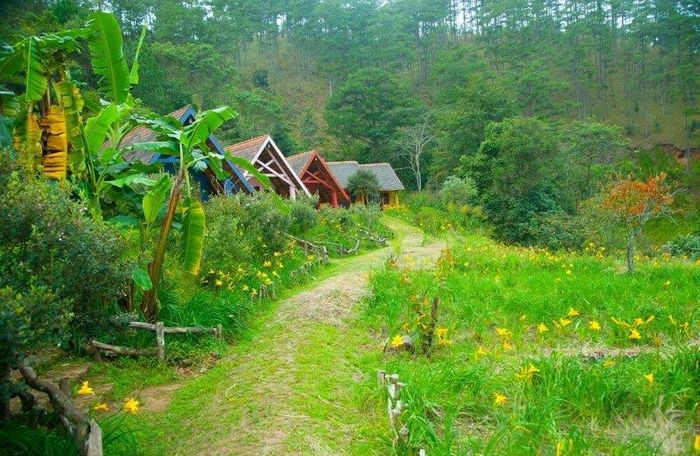 Anh trở lại đây đã nhiều lần