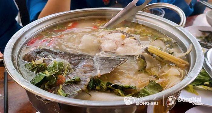 Lá nhíp tươi nõn nhúng lẩu cá lăng sông