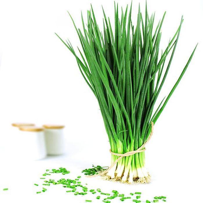 Hành lá có nhiều công dụng chữa bệnh