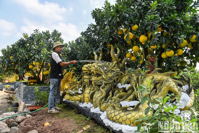Anh Năng một nhà vườn ở Hưng Yên đã chế tác các chậu đựng bưởi bằng xi măng thành hình dáng các con vật khổng lồ như rồng, cá, trâu, ngựa, xe ô tô... bán với giá hàng trăm triệu đồng phục vụ khách dịp Tết năm nay.