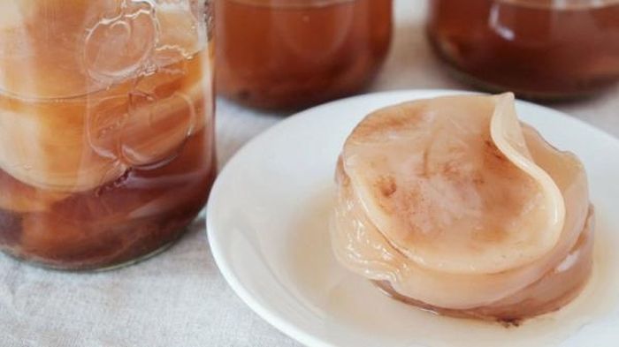 Scoby (Symbiotic Colony of Bacteria and Yeast), là cộng sinh của vi khuẩn và nấm men. đây được xem là con giống sử dụng trong quá trình lên men và sản xuất Kombucha. Hình dạng Scoby trông giống cao su, khá dày, hình tròn và màu đục với mùi nhẹ như giấm.