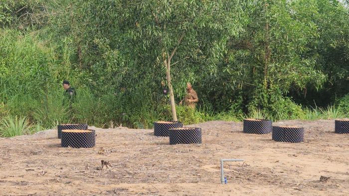 Một tổ công tác đang lùng sục ở cánh rừng phía kênh Nhà Lầu.