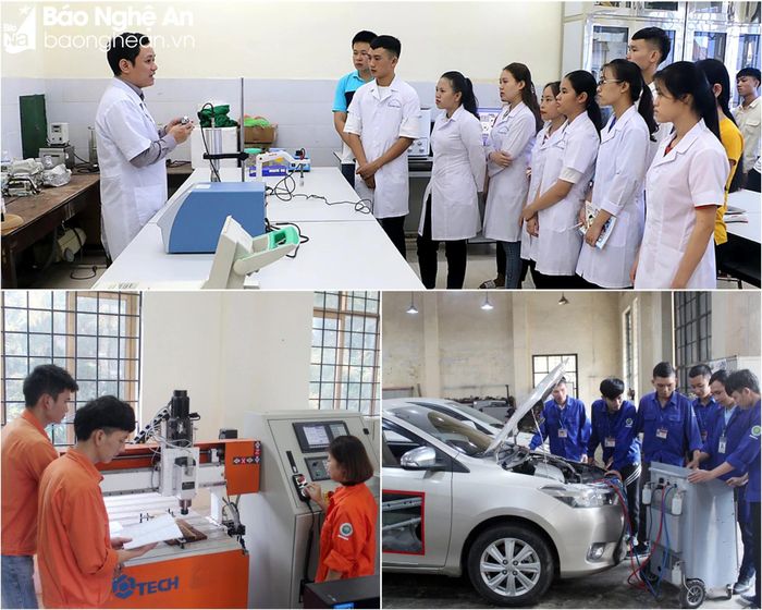  Lực lượng sinh viên trên địa bàn tỉnh ngày càng được tiếp cận với nhiều phương pháp dạy học mới. Ảnh tư liệu Thanh Quỳnh - Cơ sở cung cấp 
