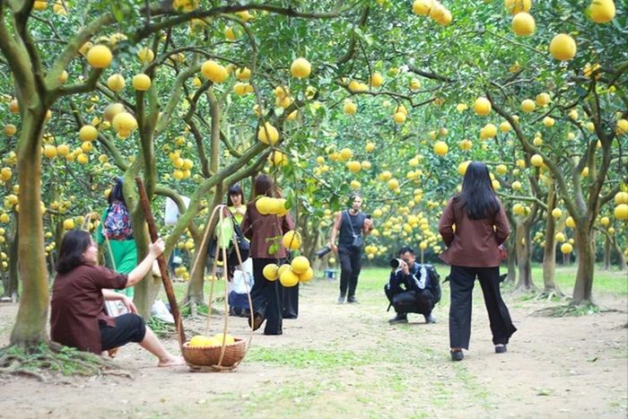 Rất nhiều thợ ảnh chuyên nghiệp có mặt tại đây để phục vụ du khách 