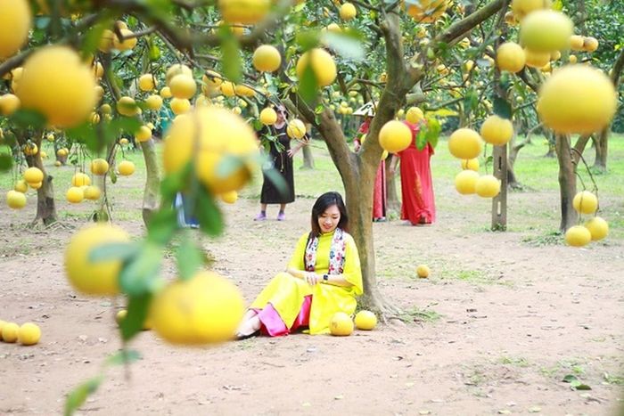 Các thiếu nữ lưu giữ net thanh xuân 