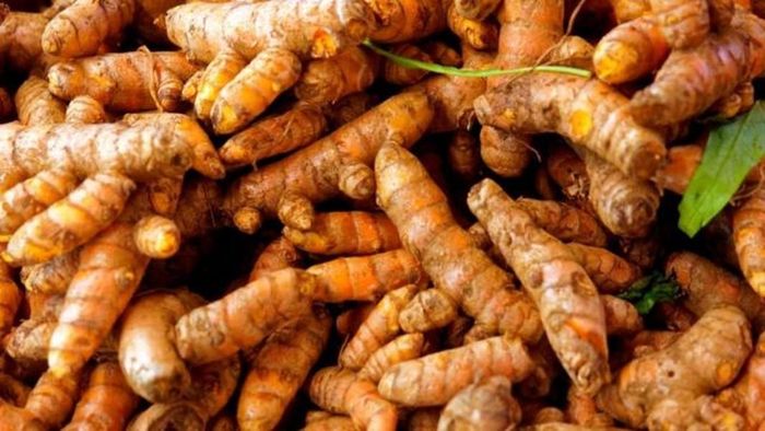 Nghệ cũng được sử dụng làm thuốc để điều trị các vấn đề như khó thở, bệnh dạ dày, chống ung thư giúp cơ thể khỏe mạnh.