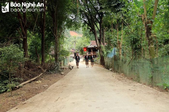  Giữa những lối đi vào bản, hai bên rợp bóng những cây me. Theo già làng Lo Văn Biến, những cây me này là me rừng có ở bản từ những năm đầu thập niên 80. Theo thời gian, quả rụng xuống cây con lại mọc lên tạo nên rừng me hàng trăm cây như hiện nay. Ảnh: Đào Thọ 