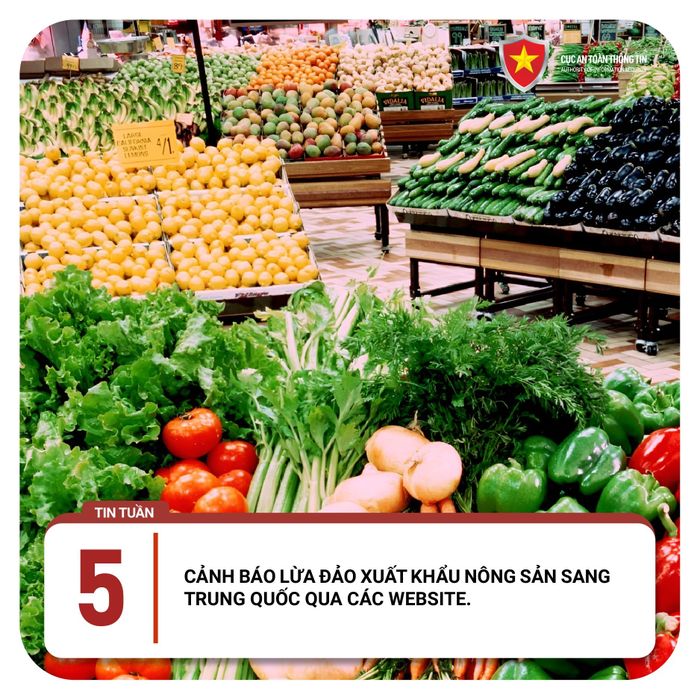 Nhiều doanh nghiệp Việt bị nhóm lừa đảo yêu cầu gửi thông tin, đóng phí để cấp mã xuất hàng sang Trung Quốc. Ảnh: Cục ATTT. 