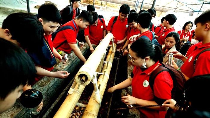Học sinh Trường THPT Mỹ Đình trải nghiệm tại Hoàng Thành Thăng Long