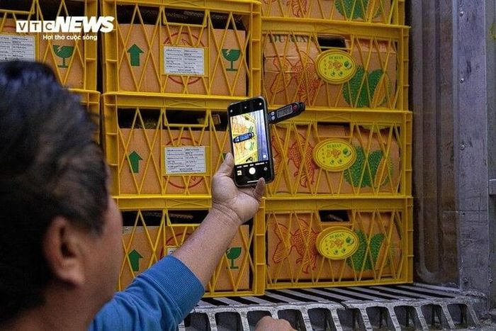 Đầu mỗi buổi trong ngày, lái xe phải đo nhiệt độ nông sản để báo cho chủ hàng.