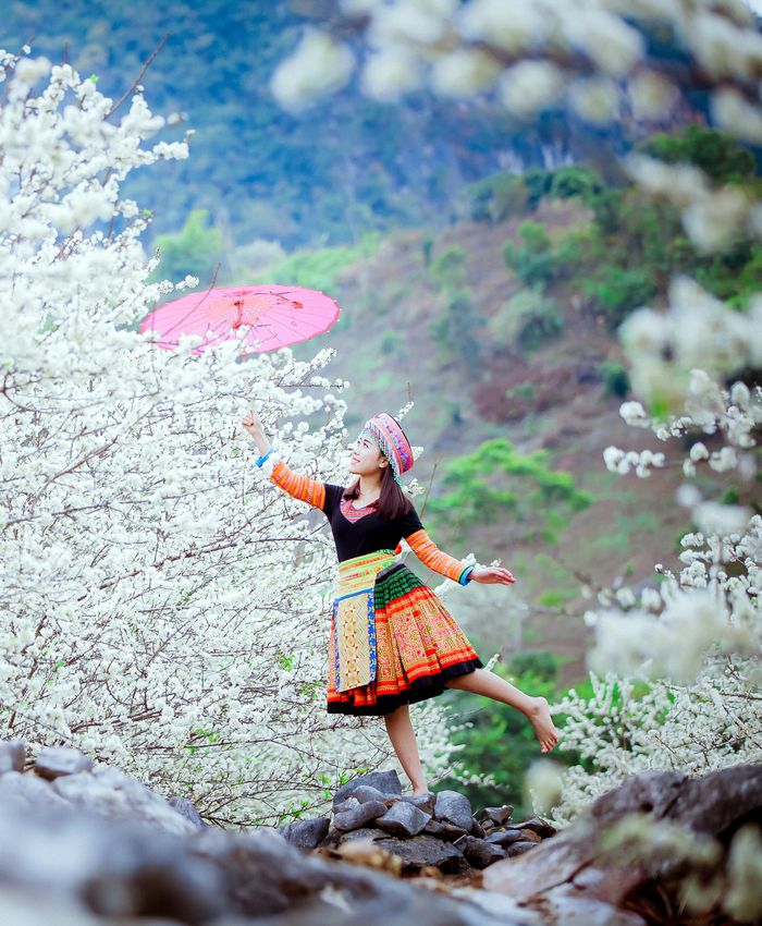 Ảnh: Lò Sơn Toàn (CTV)