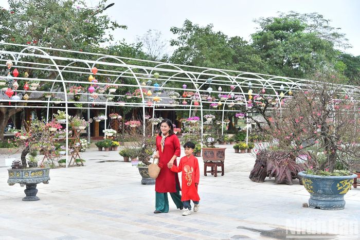 Các tập thể, cá nhân sẽ được trao giải vào dịp Lễ hội Hoa đào, Quất cảnh và sản phẩm OCOP các vùng miền Xuân Giáp Thìn 2024, tổ chức từ ngày 26/1 đến 1/2 tại Không gian văn hóa sáng tạo Tây Hồ (phường Nhật Tân, quận Tây Hồ).