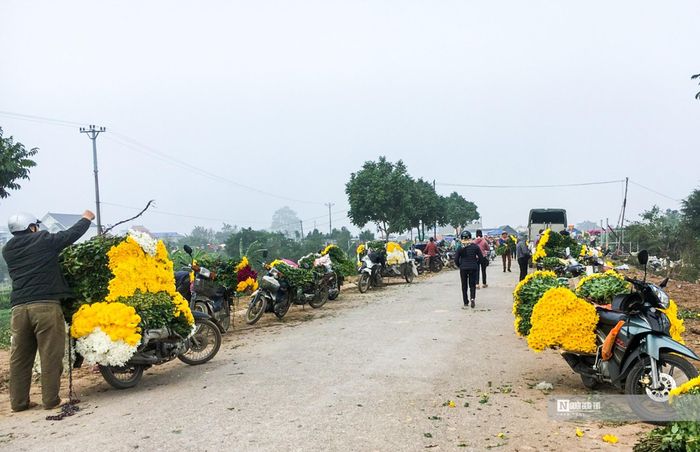Xã Mỹ Tân (huyện Mỹ Lộc) được coi là “vựa” hoa tươi lớn nhất ở tỉnh Nam Định. Dịp cuối năm, các thương lái ở nhiều tỉnh, thành lân cận tấp nập về làng hoa Mỹ Tân để nhập hoa tươi.