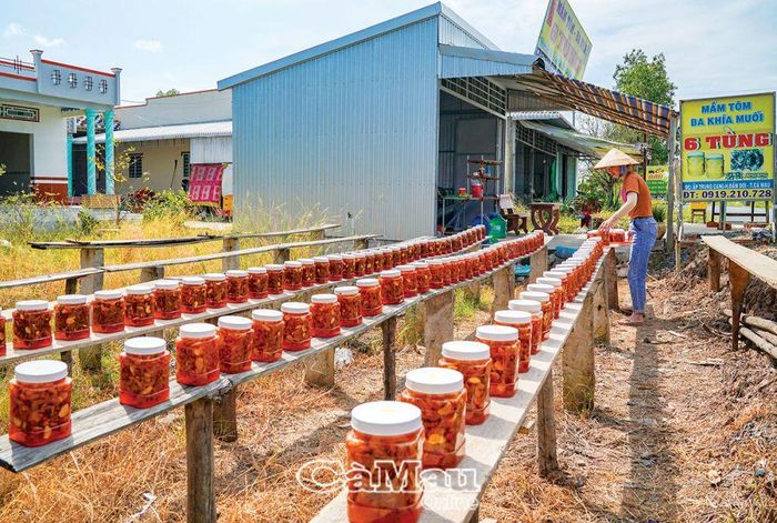 Cơ sở mắm tôm 6 Tùng ở ấp Trung Cang, xã Tân Trung, huyện Ðầm Dơi, mỗi ngày có hàng trăm keo mắm được phơi, chuẩn bị cho chuyến hàng Tết.