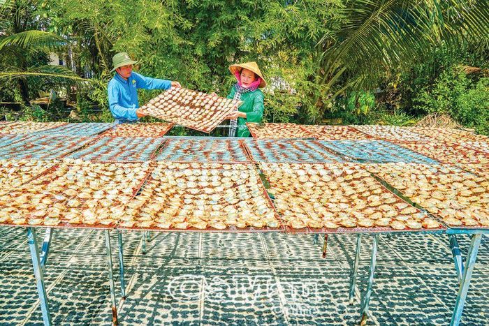 Tôm một nắng xứ Ðầm Dơi - món ẩm thực truyền thống dành cho du khách phương xa dịp Tết đến, xuân về.