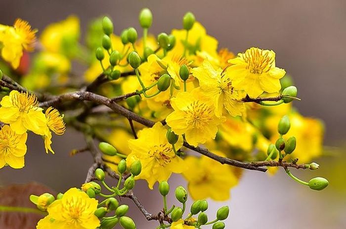 Sóng cứ phát tỏa đi bốn phương trời