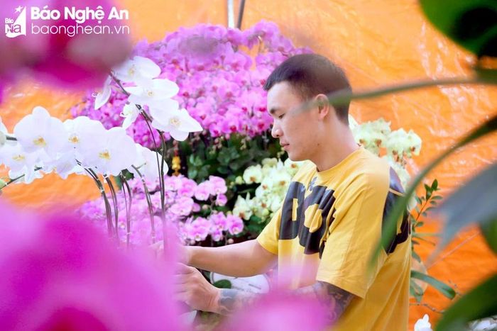  Performing the orchid arrangement work, artisans always put their love and dedication into the product. This unique flower species has a variety of decoration styles, and achieving harmony and visual appeal for a diverse customer base is a challenging task that artisans focus on. Photo: N.C 