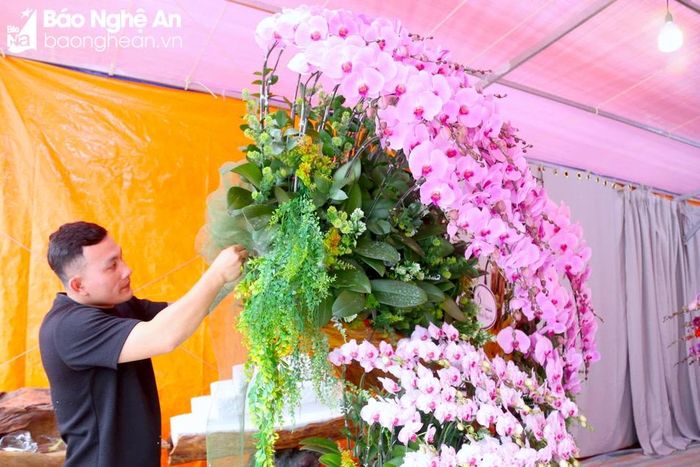  According to the sharing of shop owners, orchids are sourced from various provinces in both the North and the South of Vietnam, with the majority coming from Da Lat. Photo: N.C 