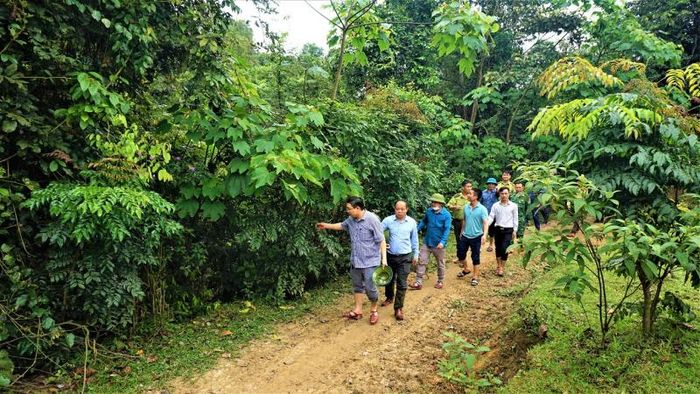 Đoàn giám sát của HĐND huyện về "Công tác quản lý, bảo vệ rừng và sử dụng đất lâm nghiệp đối với các chủ rừng, tổ chức, hộ gia đình, cá nhân được giao đất, cho thuê đất gắn với giao rừng, cho thuê rừng trên địa bàn huyện giai đoạn từ năm 2021 - 2022". Ảnh: TĐ