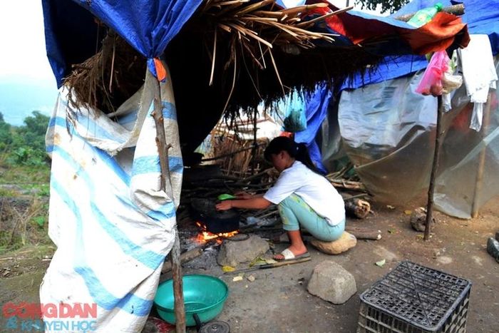 Nấu ăn tại chỗ cùng trâu. Ảnh: Quốc Hồng