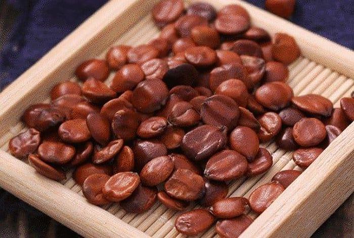 Toan táo nhân nấu cháo giúp giải độc gan