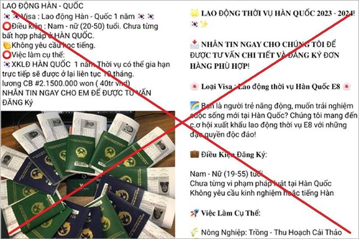 Nhiều trang mạng xã hội đăng thông tin tuyển dụng lao động thời vụ sang Hàn Quốc làm việc
