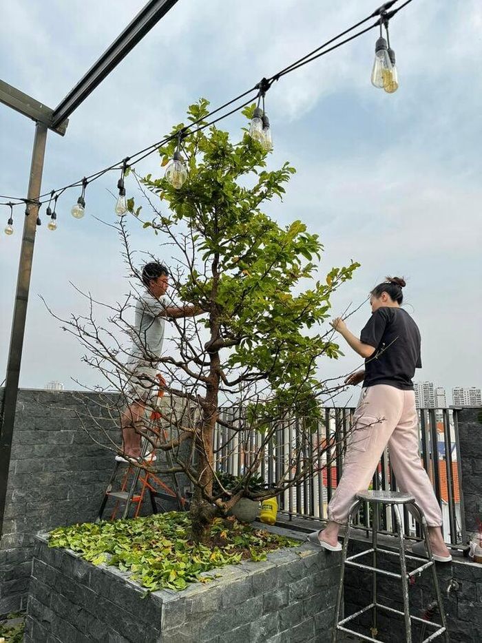 Cả hai vợ chồng tận dụng ngày nghỉ để chăm sóc nhà cửa.